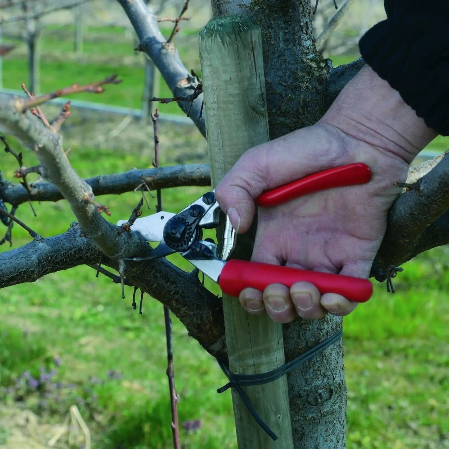 Pruning She(F 6) - High Performance Swiss Made One-Hand Garden Pruners - 100052385