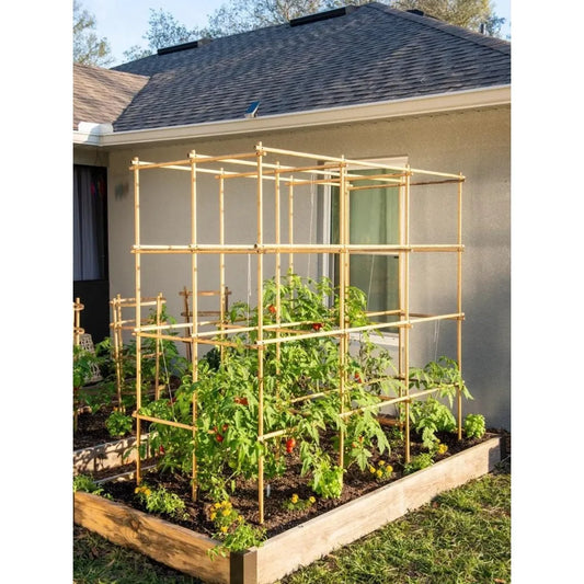 Tomato Six Pack Large Bamboo Structure | 78" High Outdoor Sustainable Bamboo Trellis Supports 6 Full-Grown